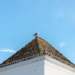 Palacio De Tavira, A Small Luxury Of The World