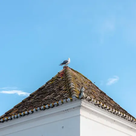 Palacio De Tavira, A Small Luxury Of The World